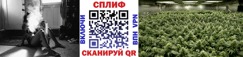 Шишки марихуана ГИДРОПОН  Купить закладки  Новомичуринск 